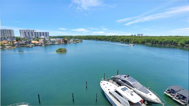 property view of water