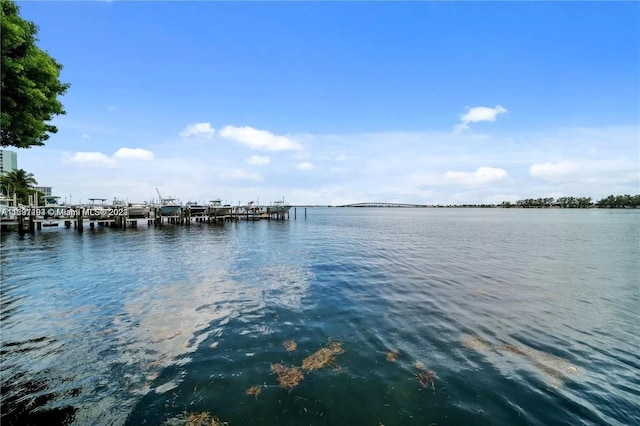 water view with a boat dock