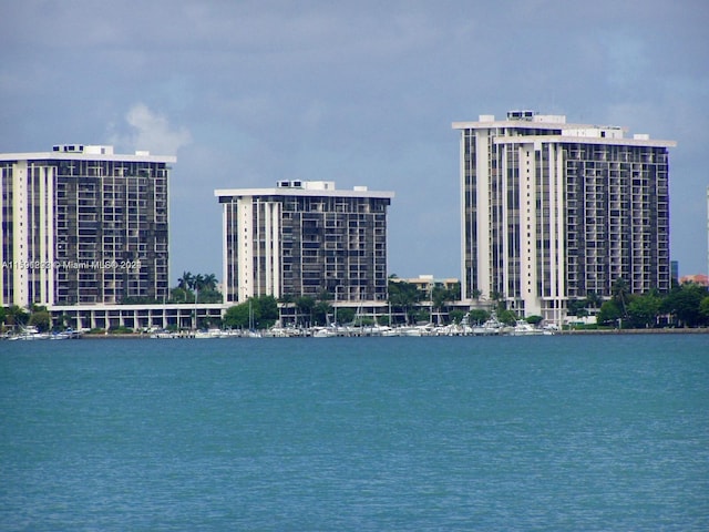 view of water feature