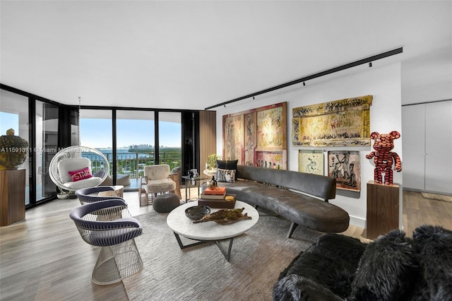 living room featuring expansive windows and light hardwood / wood-style floors