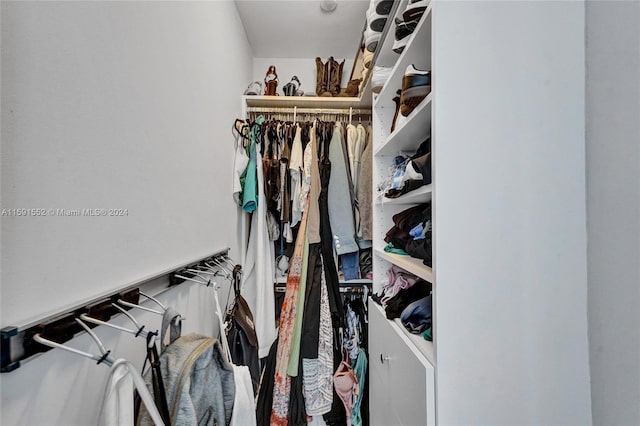 view of spacious closet