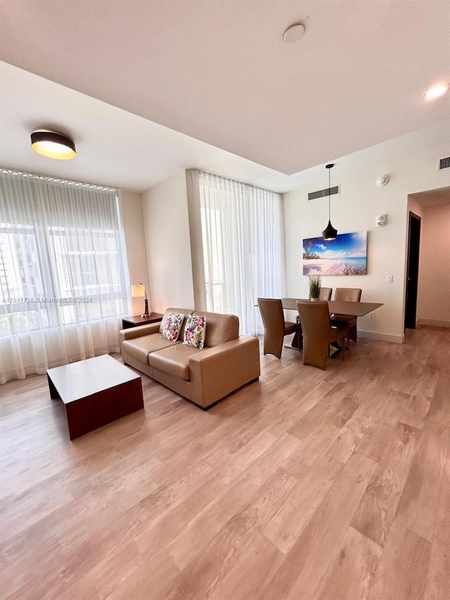 living room featuring hardwood / wood-style flooring