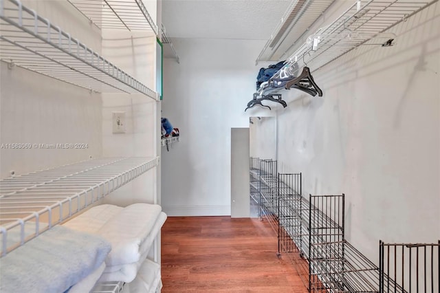 walk in closet featuring hardwood / wood-style flooring