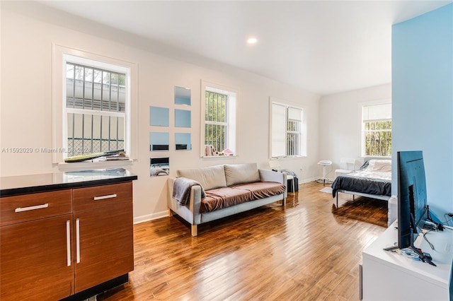 living room with light wood-type flooring