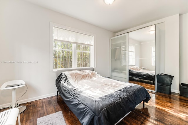 bedroom with a closet and dark hardwood / wood-style flooring