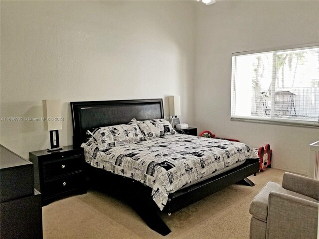 view of carpeted bedroom