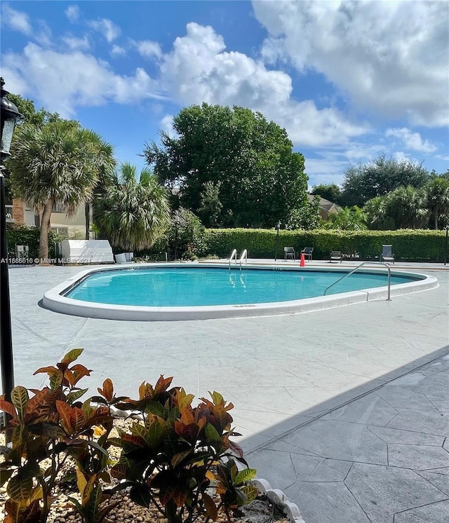 view of pool with a patio area