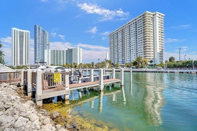 dock area with a water view