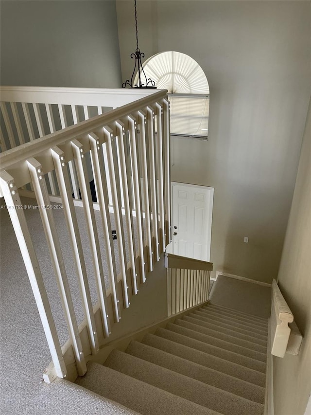 staircase with carpet flooring and a high ceiling