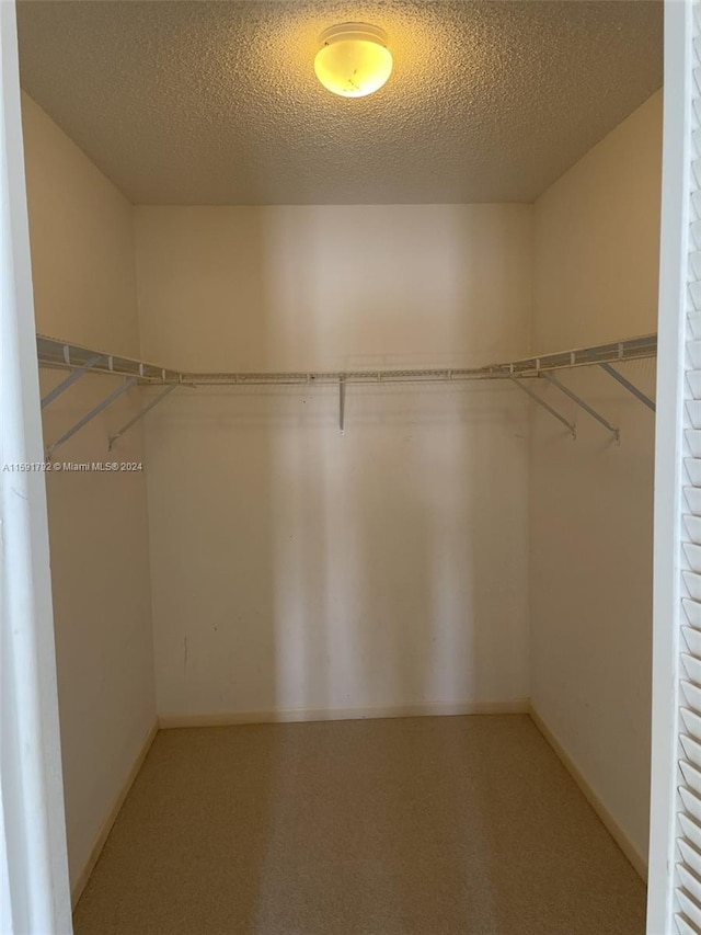 walk in closet with carpet floors