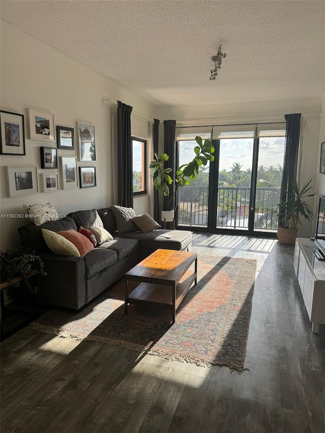 living room featuring a wealth of natural light, a textured ceiling, and dark hardwood / wood-style flooring