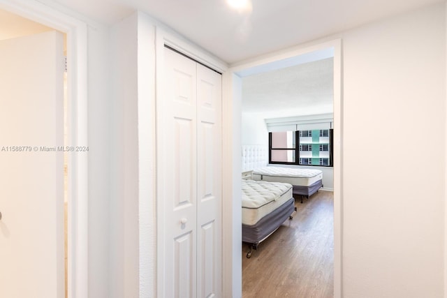 hallway featuring hardwood / wood-style floors