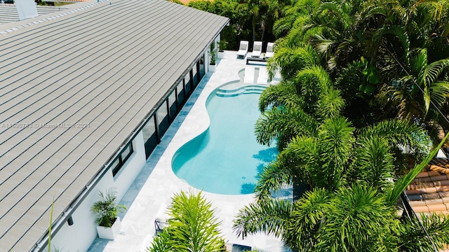 view of swimming pool featuring a patio