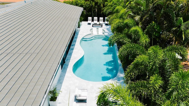 view of pool with a patio