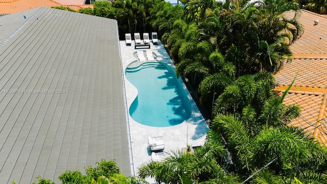 view of swimming pool with a patio area