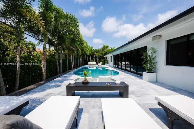 view of swimming pool with a patio