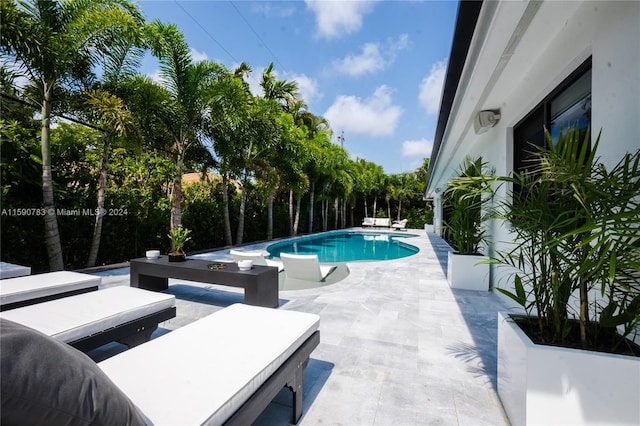 view of swimming pool featuring a patio area