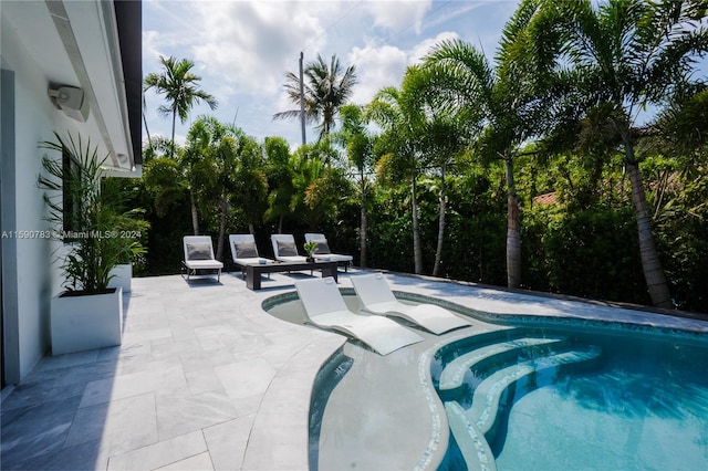 view of swimming pool with a patio area