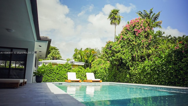 view of pool featuring a patio area