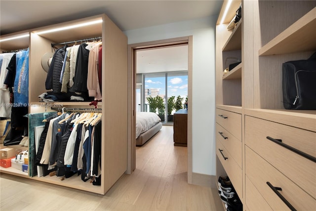 walk in closet featuring light hardwood / wood-style flooring