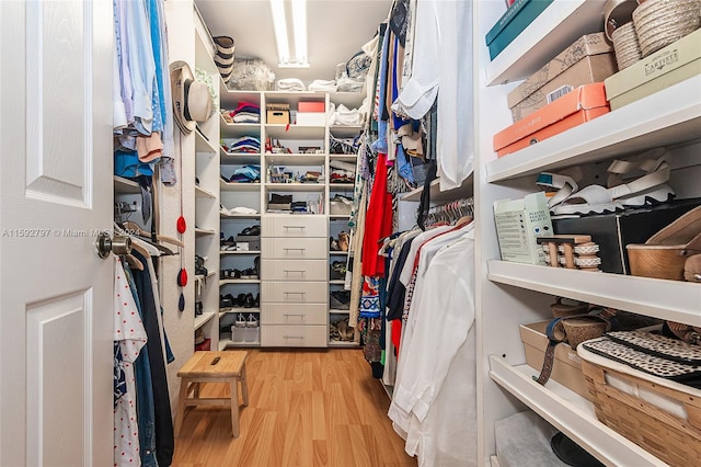 walk in closet with light hardwood / wood-style flooring