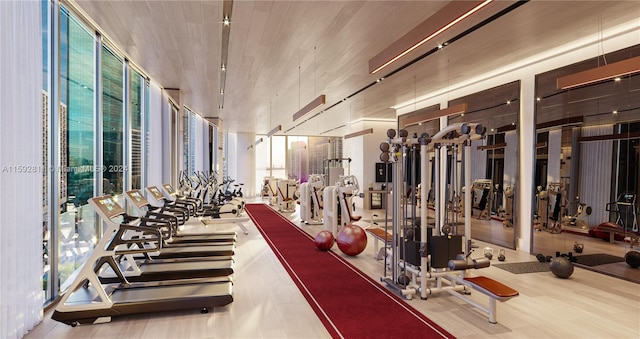 workout area with floor to ceiling windows and wood-type flooring