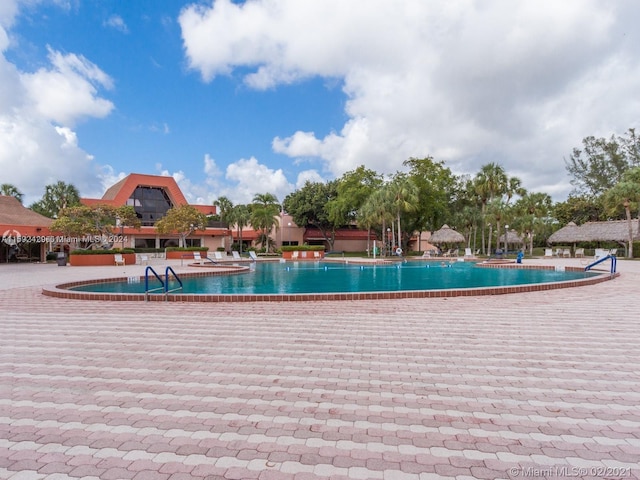 view of swimming pool