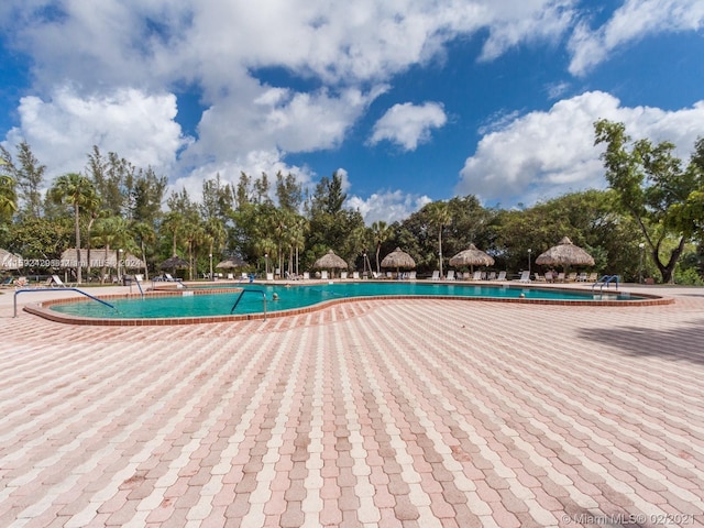 view of pool with a patio area