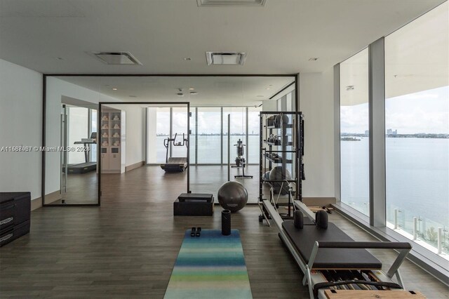 gym with dark wood-type flooring and floor to ceiling windows