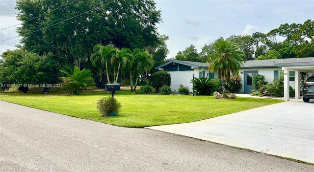 view of yard