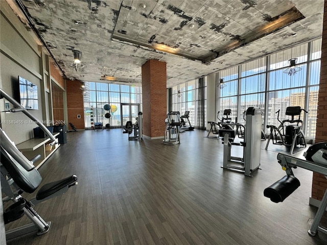 exercise room with floor to ceiling windows and hardwood / wood-style flooring