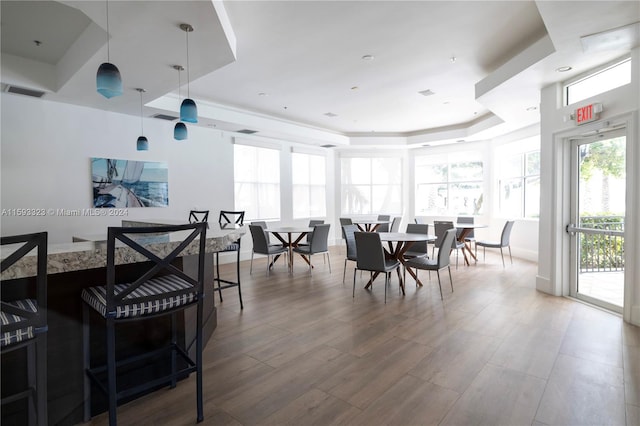 dining room featuring a tray ceiling