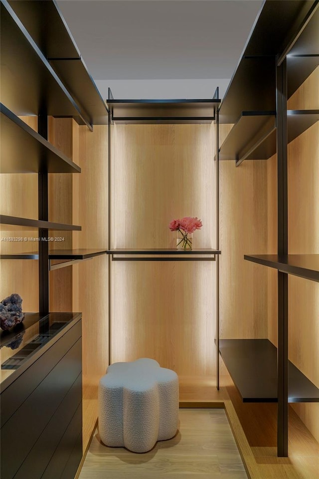 walk in closet featuring light wood-type flooring