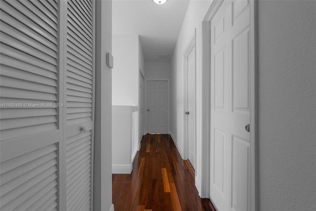 hallway featuring dark wood-type flooring