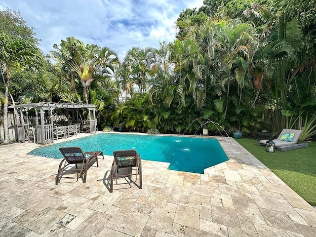 view of pool with a patio