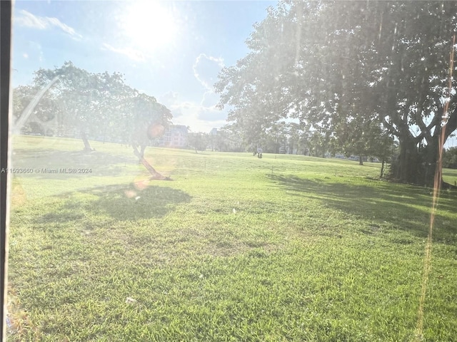 view of yard featuring a rural view