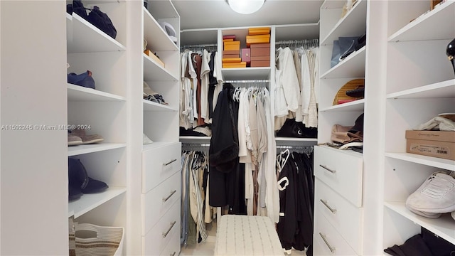 view of spacious closet