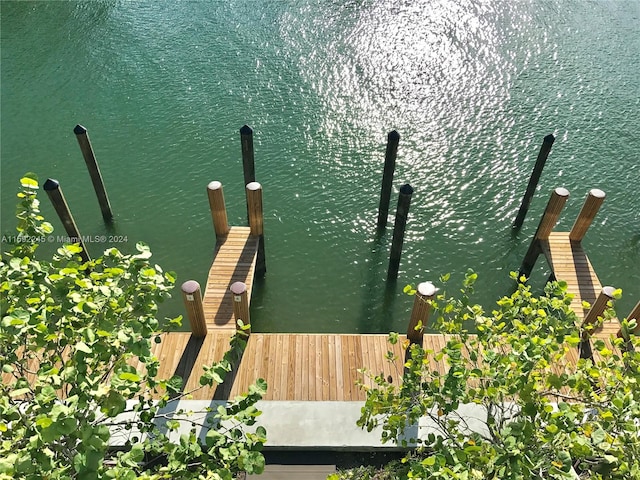 view of dock