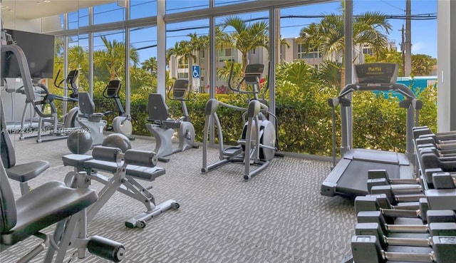 exercise room with carpet floors, expansive windows, and a wealth of natural light