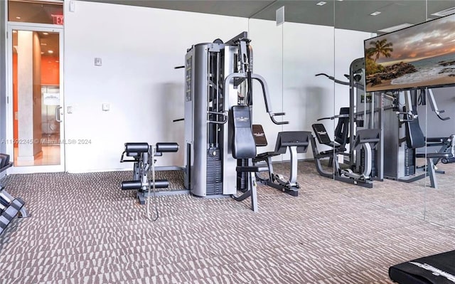 workout area featuring carpet floors