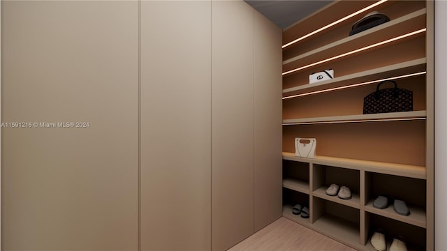 spacious closet with light hardwood / wood-style floors