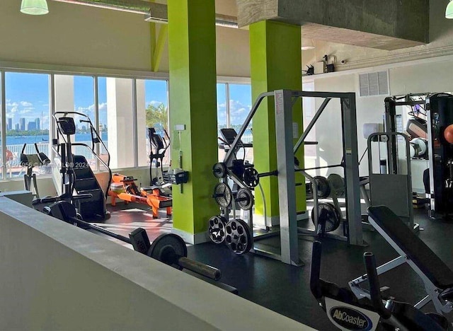 workout area with a water view