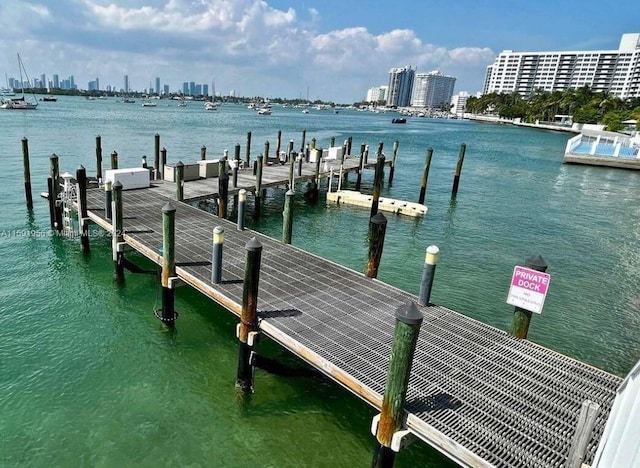 dock area featuring a water view