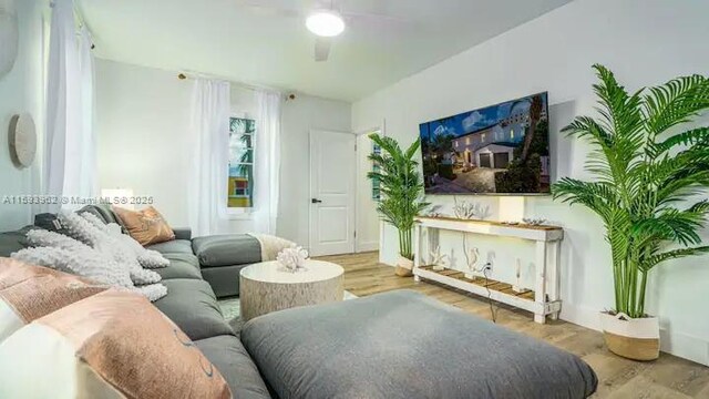 living room with ceiling fan and hardwood / wood-style floors