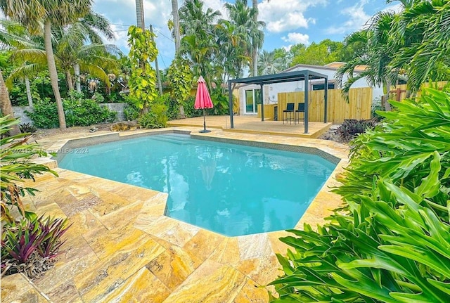 view of pool with a patio area