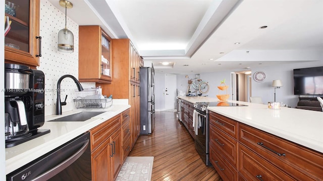 kitchen featuring hanging light fixtures, appliances with stainless steel finishes, hardwood / wood-style floors, sink, and a raised ceiling