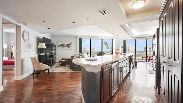 kitchen featuring a wealth of natural light, dark wood-type flooring, and dark brown cabinetry