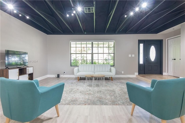 living room featuring wood-type flooring