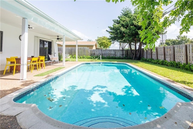 view of pool featuring a patio area and ceiling fan