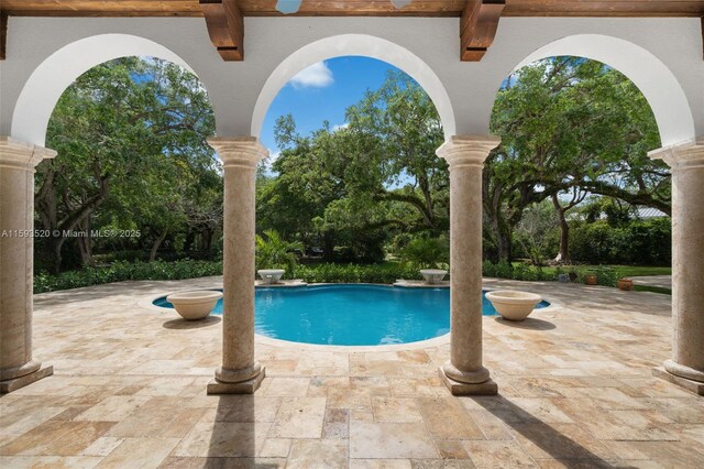 view of swimming pool with a patio area